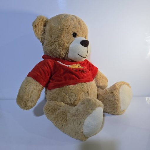 عروسک پولیشی خرس تدی مدل be happy - Image 2