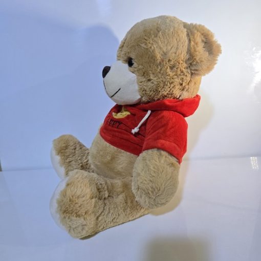 عروسک پولیشی خرس تدی مدل be happy - Image 3