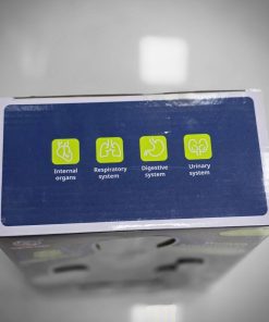 ماکت آناتومی نیم تنه آموزشی ۸ تکه مدل TXMR-027 - Image 11